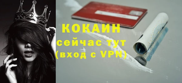 мяу мяу мука Алексин