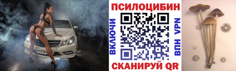 Галлюциногенные грибы мицелий  блэк спрут маркетплейс  Ардон 